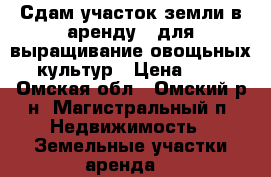 Сдам участок земли в аренду , для выращивание овощьных культур › Цена ­ 1 - Омская обл., Омский р-н, Магистральный п. Недвижимость » Земельные участки аренда   